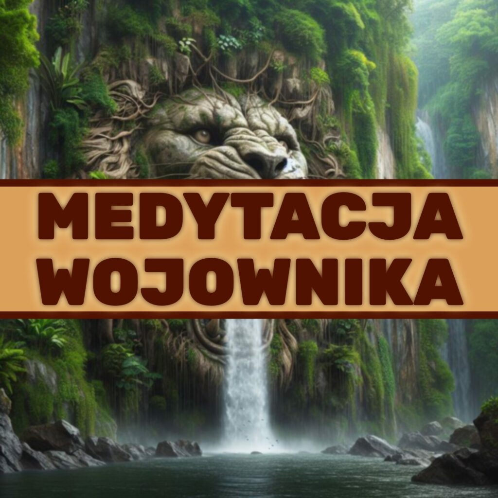 MEDYTACJA WOJOWNIKA
